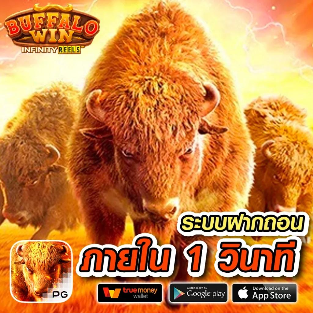 cat888เข้าระบบ เว็บตรง สล็อต ฝากถอนออโต้ ไม่ผ่านเอเย่นต์ 2026